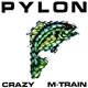 Pylon - Crazy / M-Train